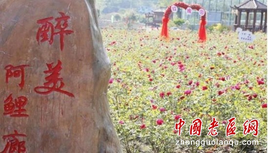 根据地