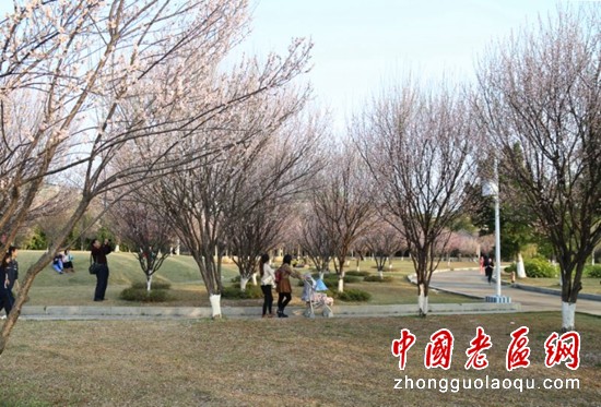 根据地