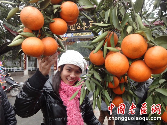 脐橙满枝头8
